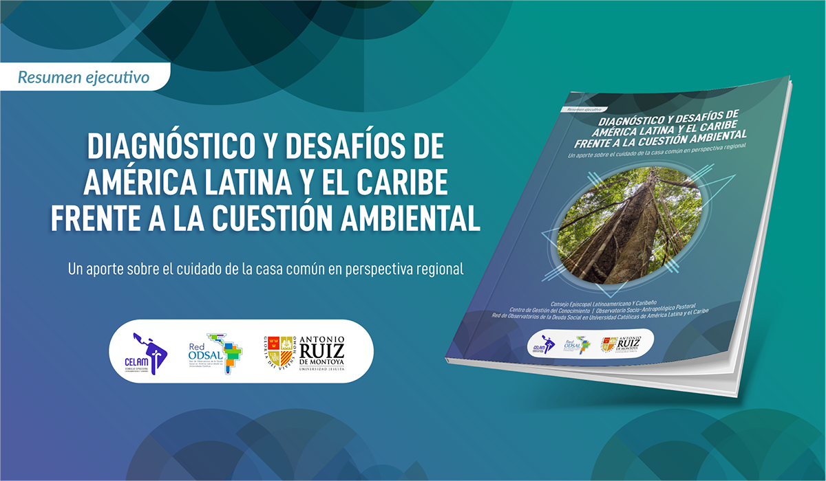Universidad y medio ambiente en América Latina y el Caribe: continuidad y  avances del proceso iniciado en el Seminario de Bogotá