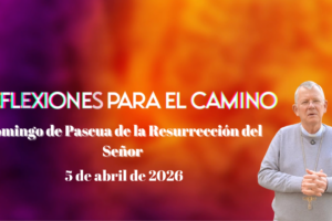 miniatura_youtube (7)